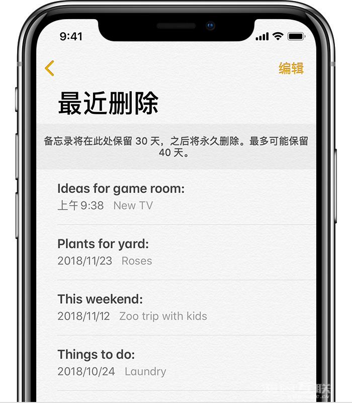 iPhone  上的备忘录丢失怎么办？插图3