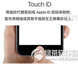 iphone6s怎么设置指纹解锁 iphone6s指纹识别设置教程4