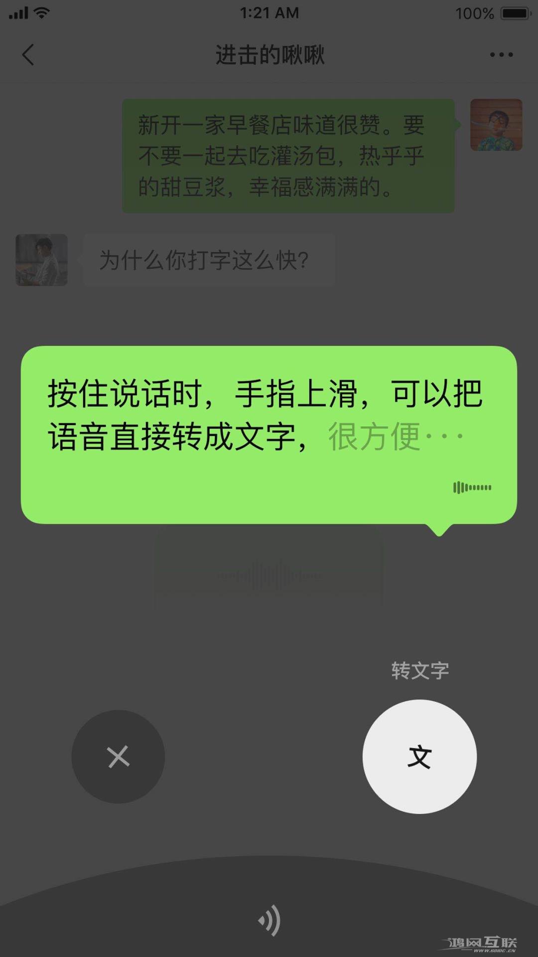 iPhone  如何打开语音输入功能？插图13