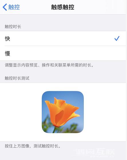 如何在 iPhone  上更改“三维触控”或“触感触控”灵敏度？插图3