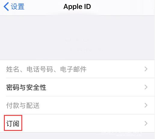 无法在 iPhone 上移除最后一个付款方式怎么办？