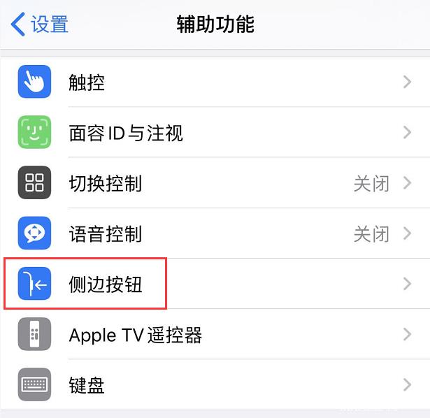 iPhone  11 开启了面容识别，下载应用仍需要输入密码怎么办？插图3