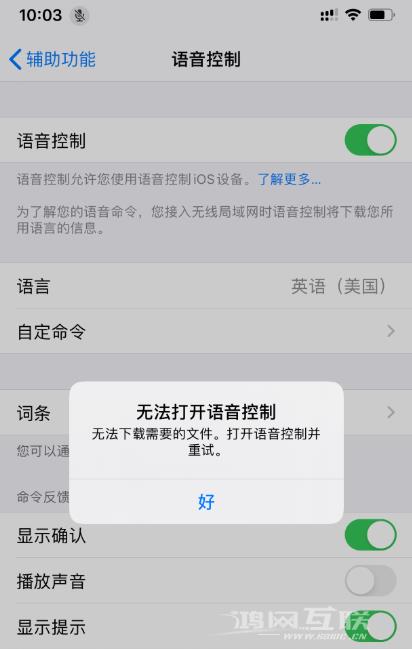 iPhone 11 提示“无法打开语音控制”，无法下载需要的文件怎么办？