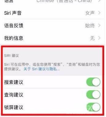 iPhone手机搜索框的妙用插图3