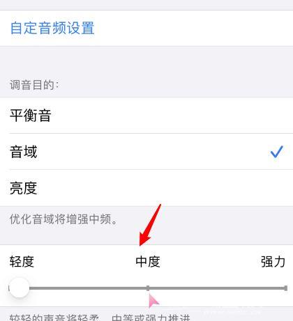 iOS  14 耳机调节功能，提升音乐和通话音频质量插图5