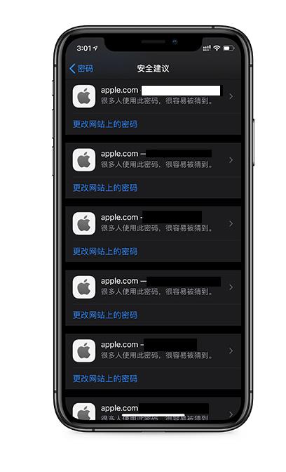 iCloud  钥匙串是什么功能？在 iOS  14 中有哪些改进？插图5