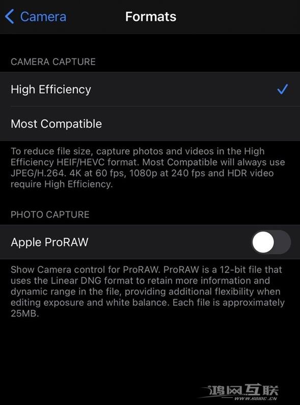 如何为 iPhone  12 Pro/Max  启用 ProRAW  照片格式？插图3