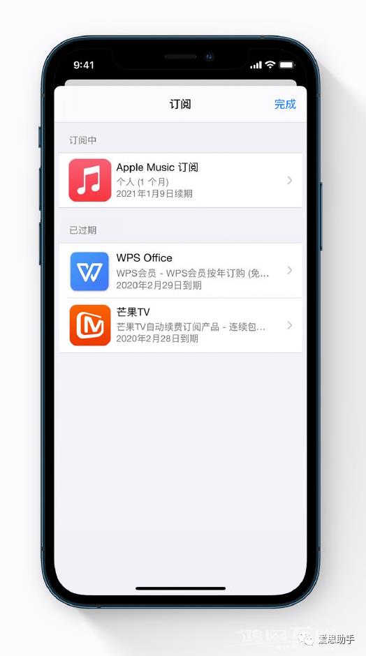 如何通过“Apple  支持”应用更改订阅项目插图7