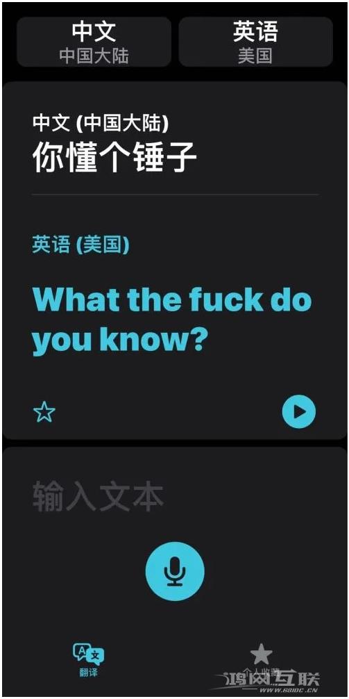 iOS14的“翻译太懂了”怎么用？插图5