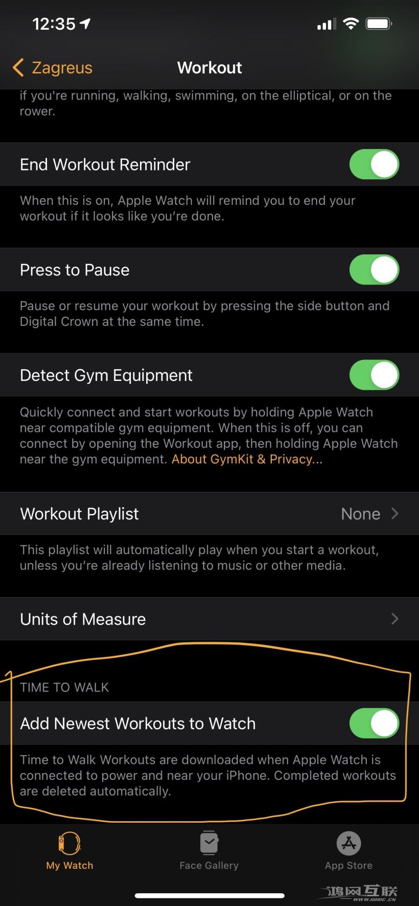 iOS  14.4 Beta  表明：Apple  Watch  将推引导式语音步行锻炼插图3