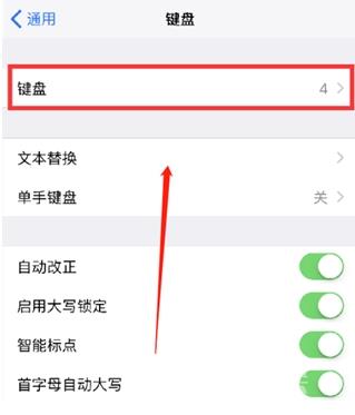 iPhone12手写键盘设置教程插图3