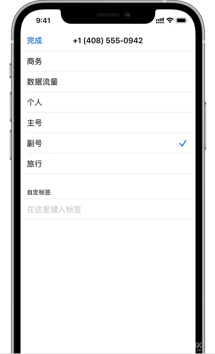 为 iPhone  12 双卡设置标签:支持自定义标签和 emoji  表情插图3