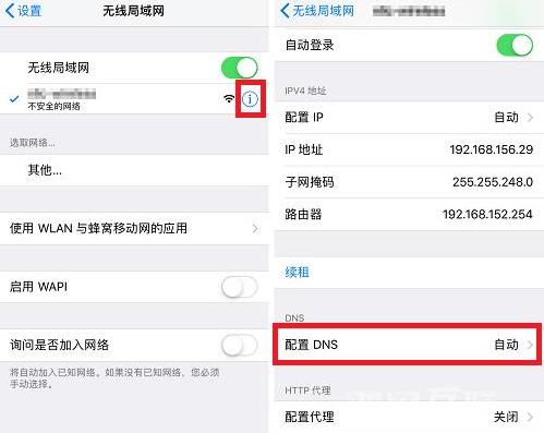 iPhone  12 无法连接到 App  Store  怎么解决？插图5