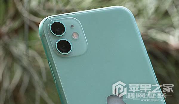 iPhone 11颜色有哪些