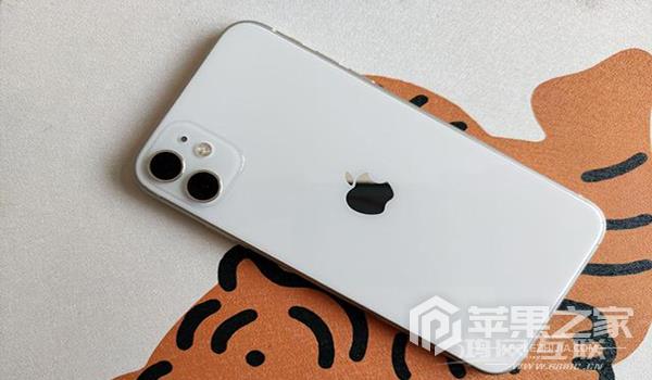 iPhone 11壁纸更换教程