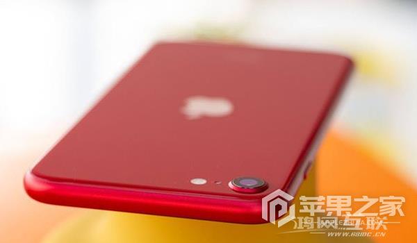 iPhone SE3可以使用5G网络吗