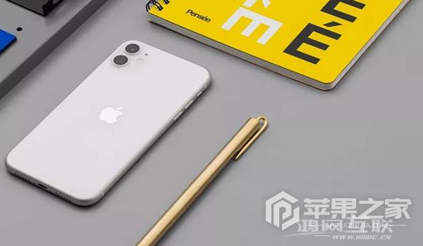 iPhone 11可以使用面部识别吗