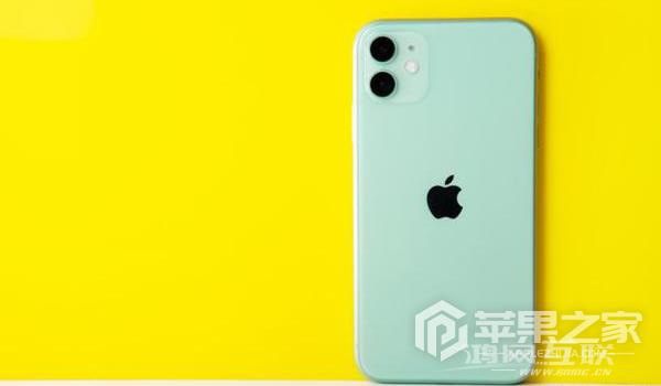 iPhone 11需要更新ios 15.6吗