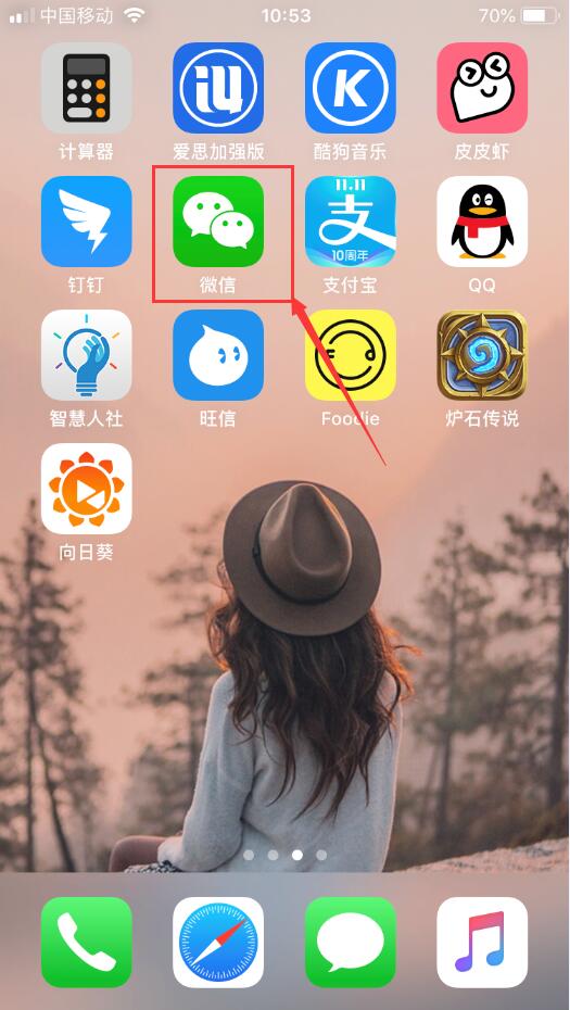 iPhone手机微信翻译功能使用方法教程