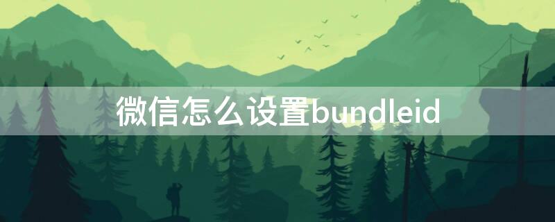 微信怎么设置bundleid