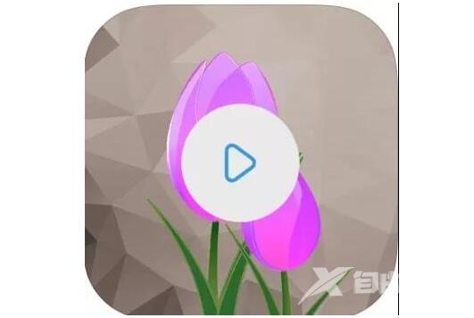 制作抖音视频常用的手机软件