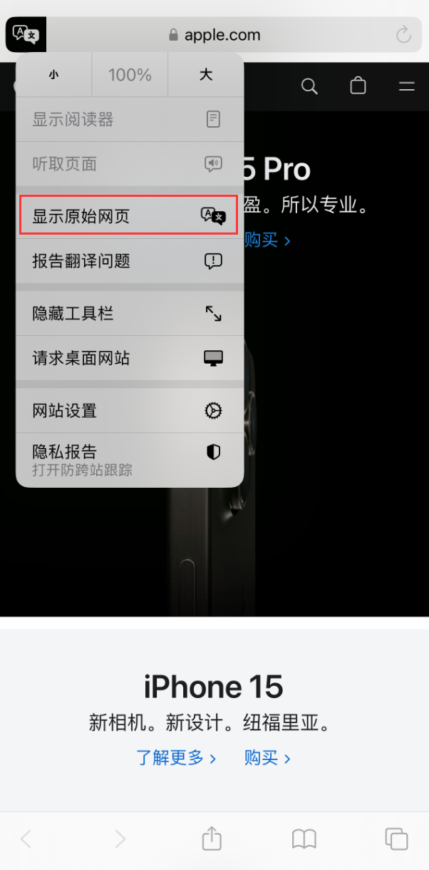 在 iPhone  上使用 Safari  浏览器翻译网页：可设置多种翻译语言