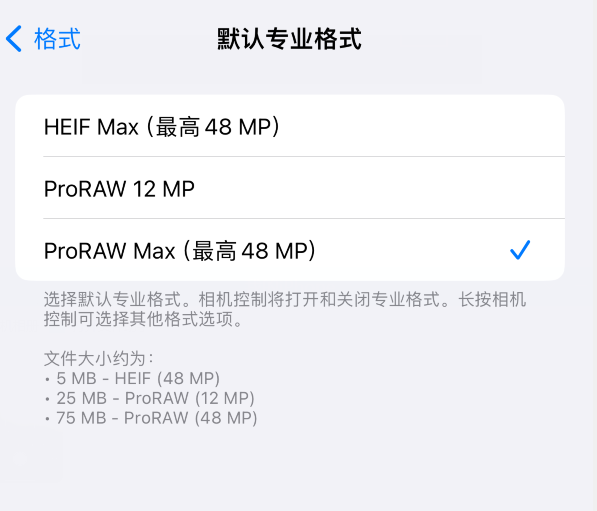 如何在 iPhone  15 Pro  系列机型中设置 Apple  ProRAW  格式？