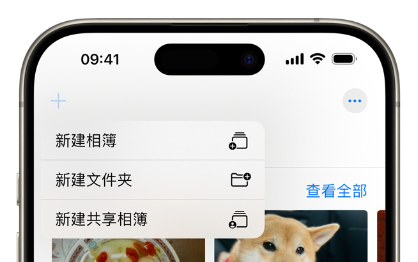 通过 iPhone  共享相簿功能，快速分享春节精彩照片