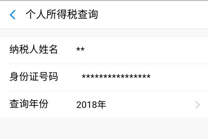 支付宝查询个人所得税