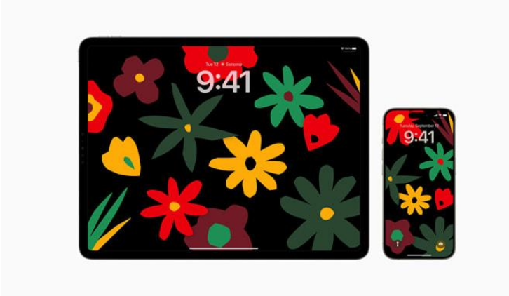 苹果 iOS  / iPadOS  17.3 RC更新内容汇总