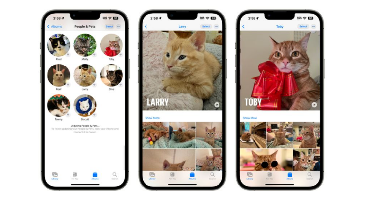 iOS17照片更新：人物和猫狗宠物识别功能更精确