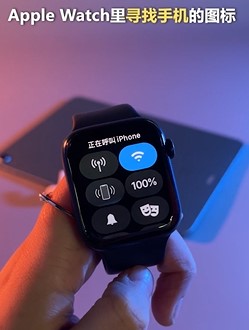 Apple  watch有哪些隐藏小细节？