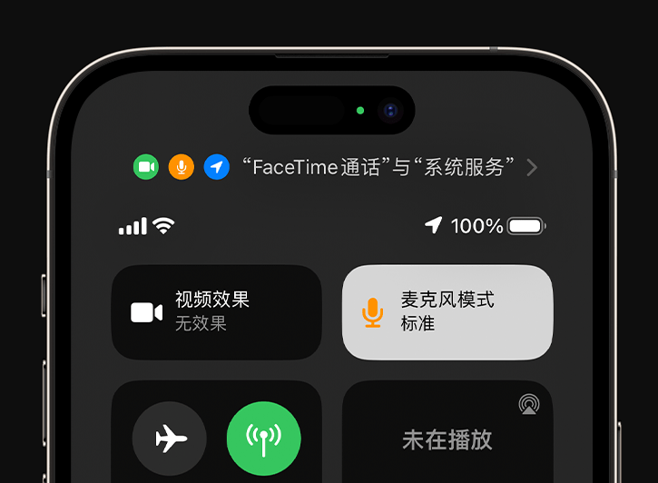 如何提升iPhone通话声音质量的小窍门