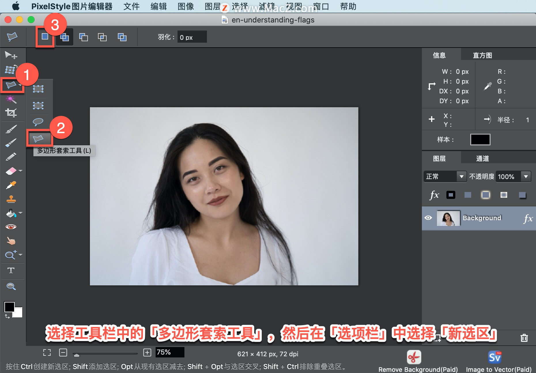 PixelStyle  教程「13」，如何在 PixelStyle  中使用？多边形套索工具？
