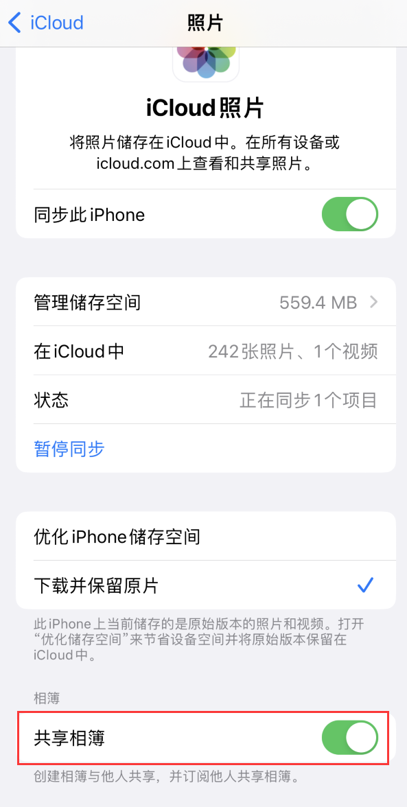 在 iPhone  上找不到“共享相簿”怎么办？