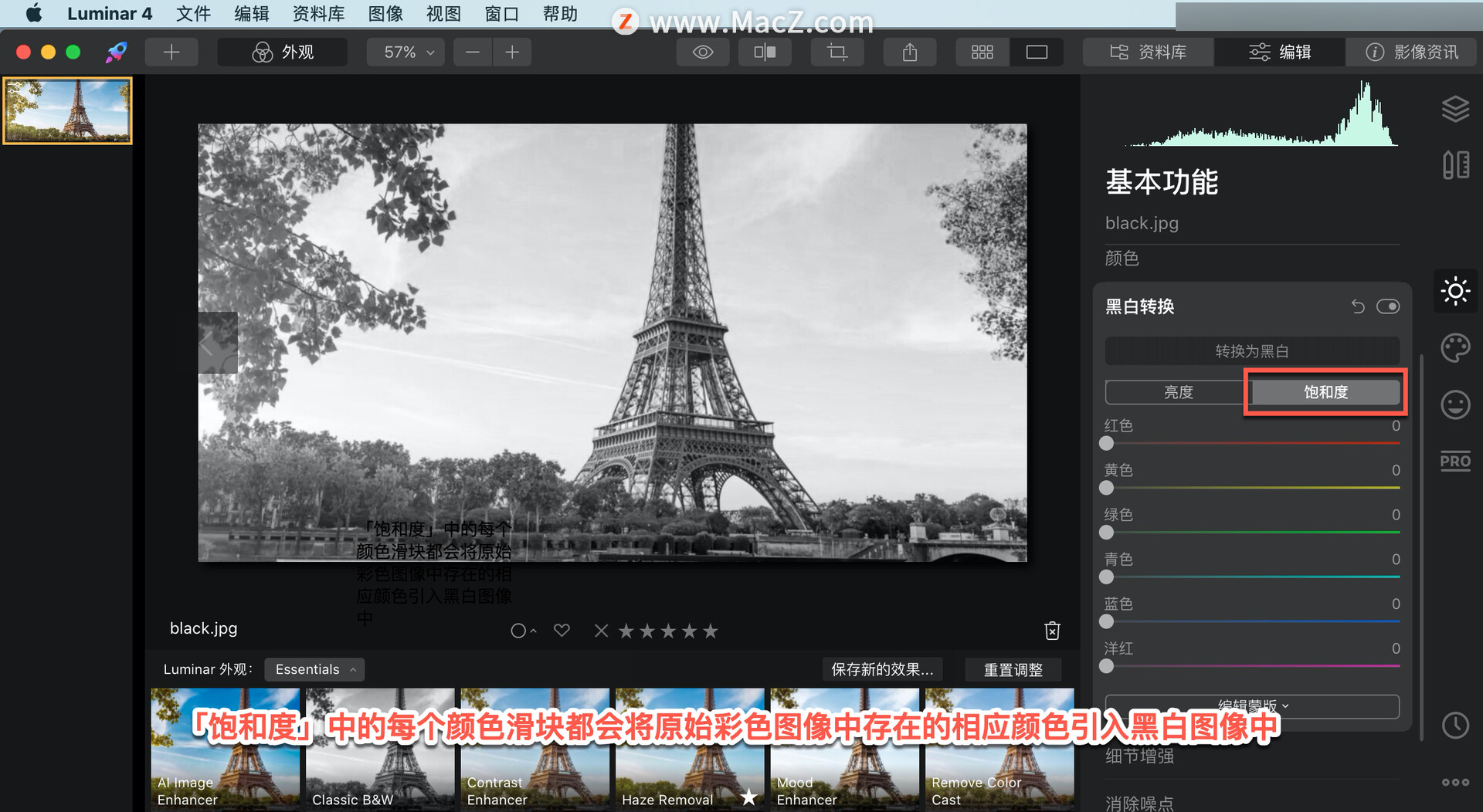 Luminar  4?教程「10」，如何在 Luminar  4 中？使用黑白转换工具？