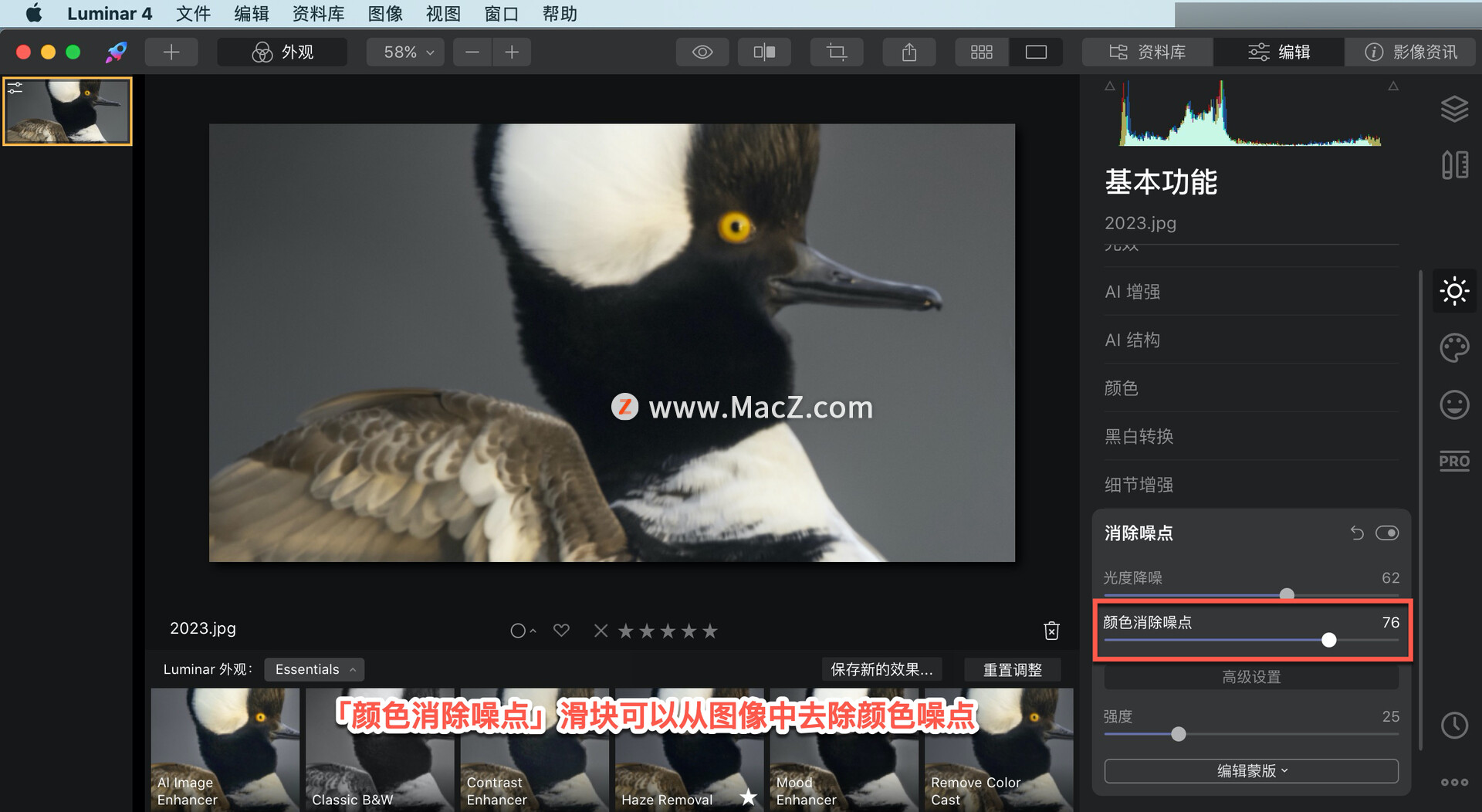 Luminar  4?教程「12」，如何在 Luminar  4 中？使用消除噪点工具？