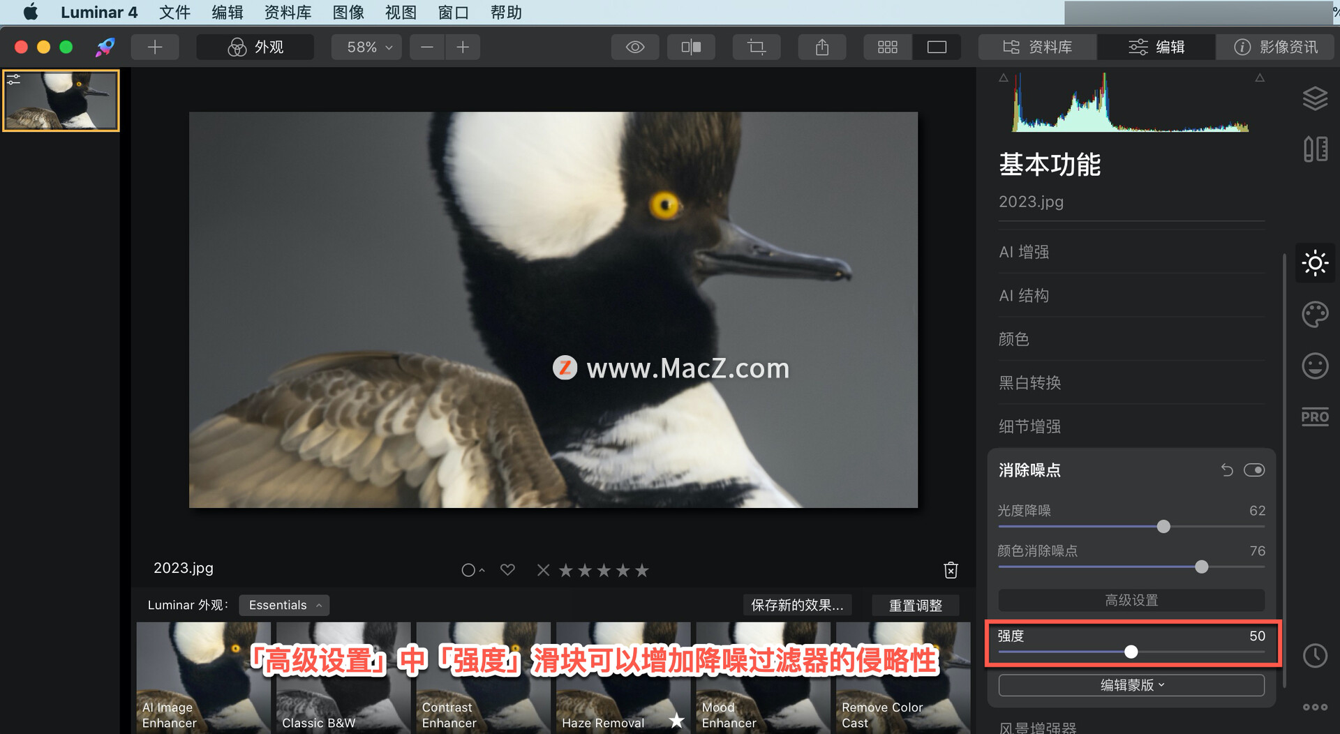 Luminar  4?教程「12」，如何在 Luminar  4 中？使用消除噪点工具？