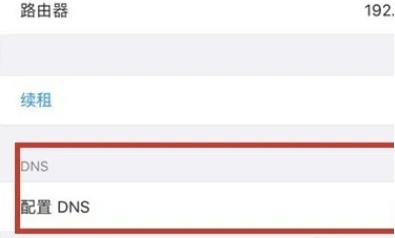 苹果手机dns怎么设置