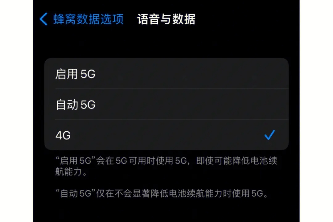 苹果手机4g和5g怎么切换