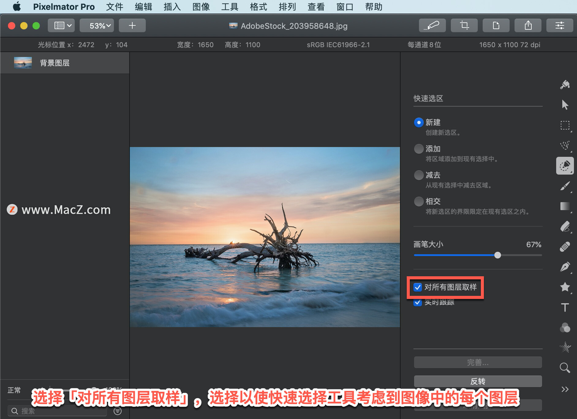 Pixelmator  Pro?教程「195」，如何在 Pixelmator  Pro?中使用快速选区工具？