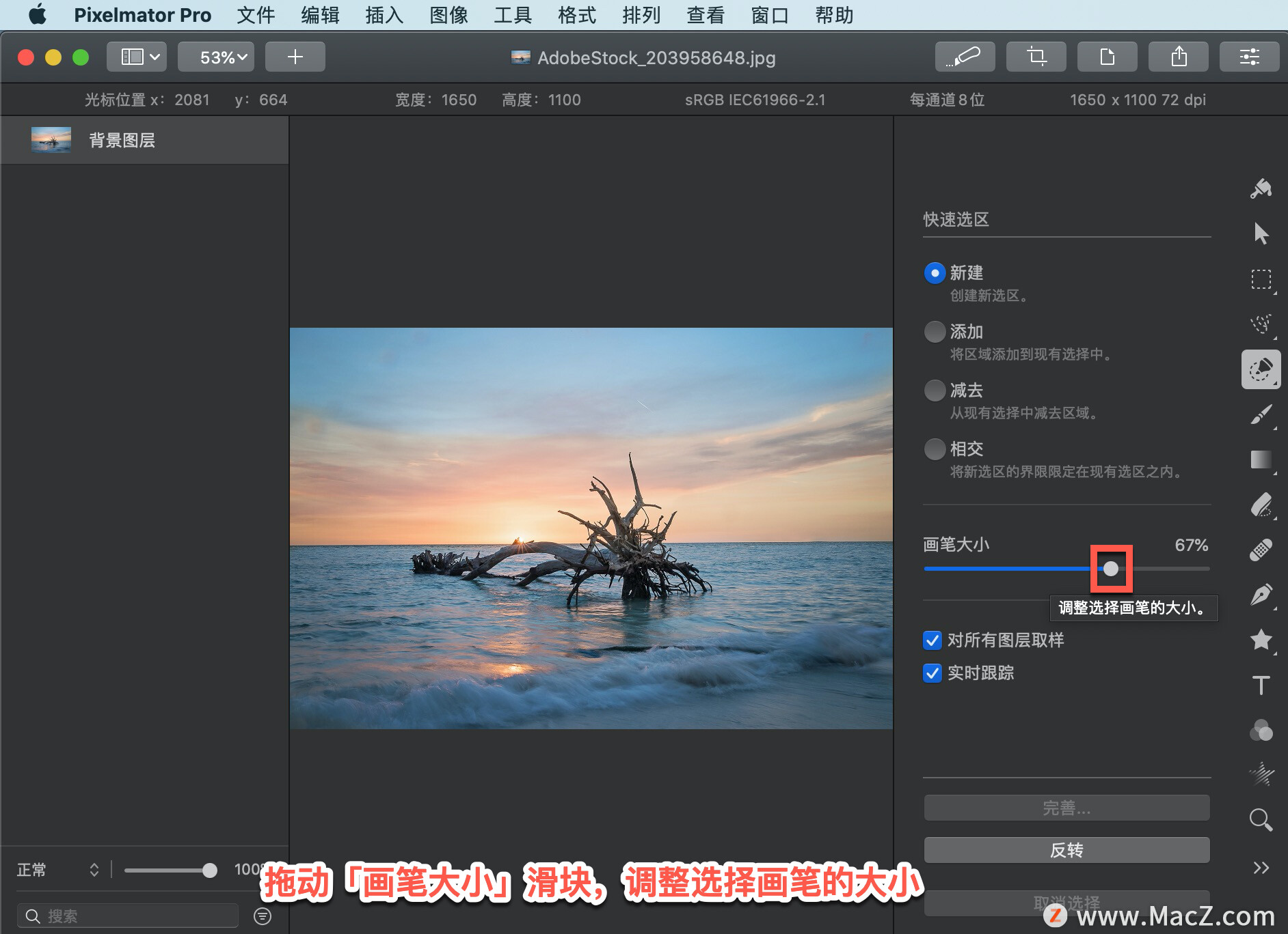 Pixelmator  Pro?教程「195」，如何在 Pixelmator  Pro?中使用快速选区工具？