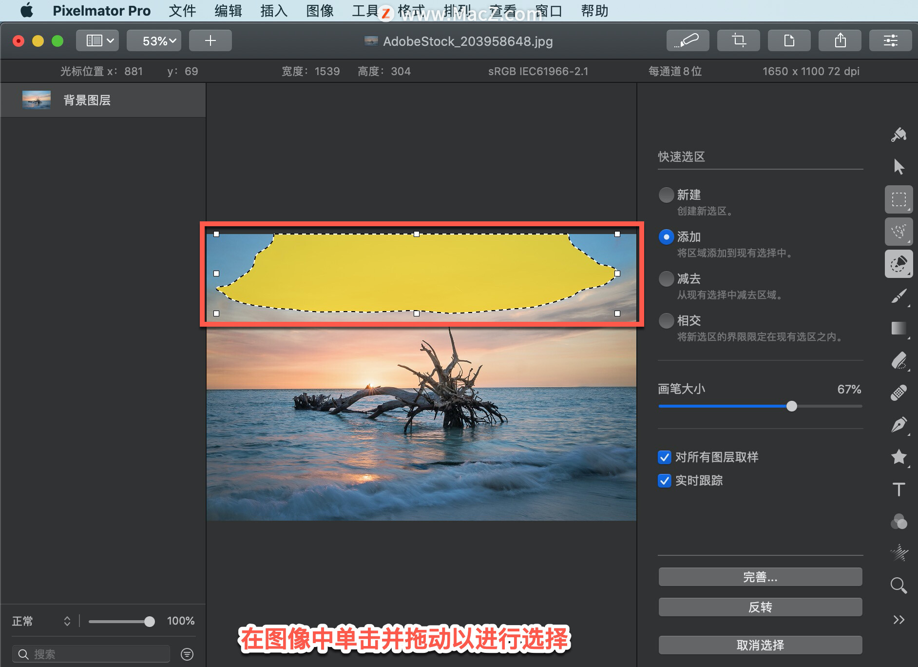 Pixelmator  Pro?教程「195」，如何在 Pixelmator  Pro?中使用快速选区工具？