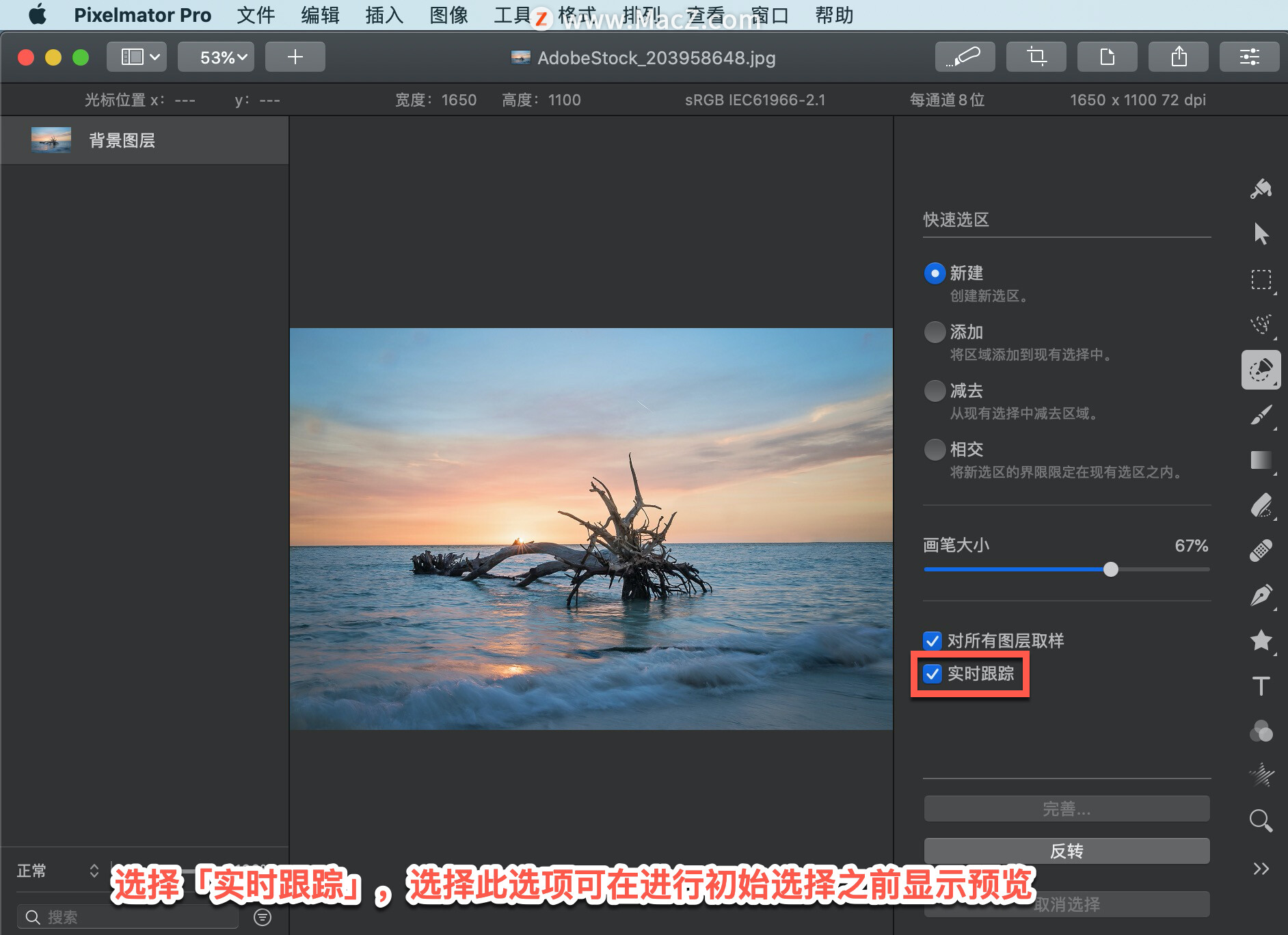 Pixelmator  Pro?教程「195」，如何在 Pixelmator  Pro?中使用快速选区工具？