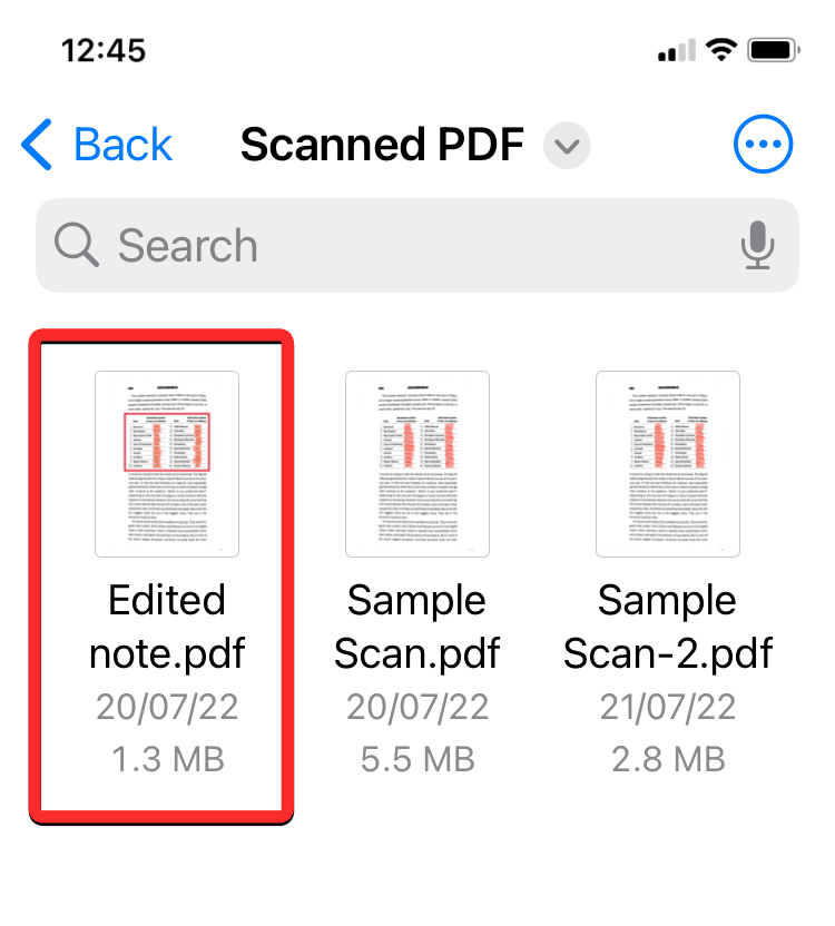 如何在 iPhone  上锁定 PDF  文件