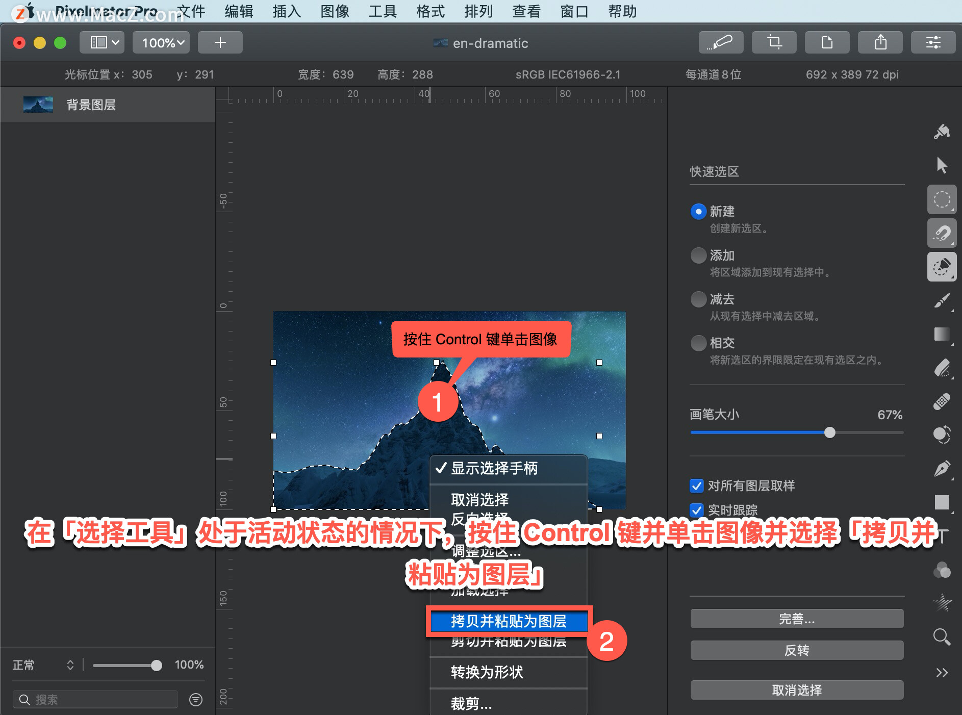 如何在 Pixelmator Pro?中删除选择区域之外的内容