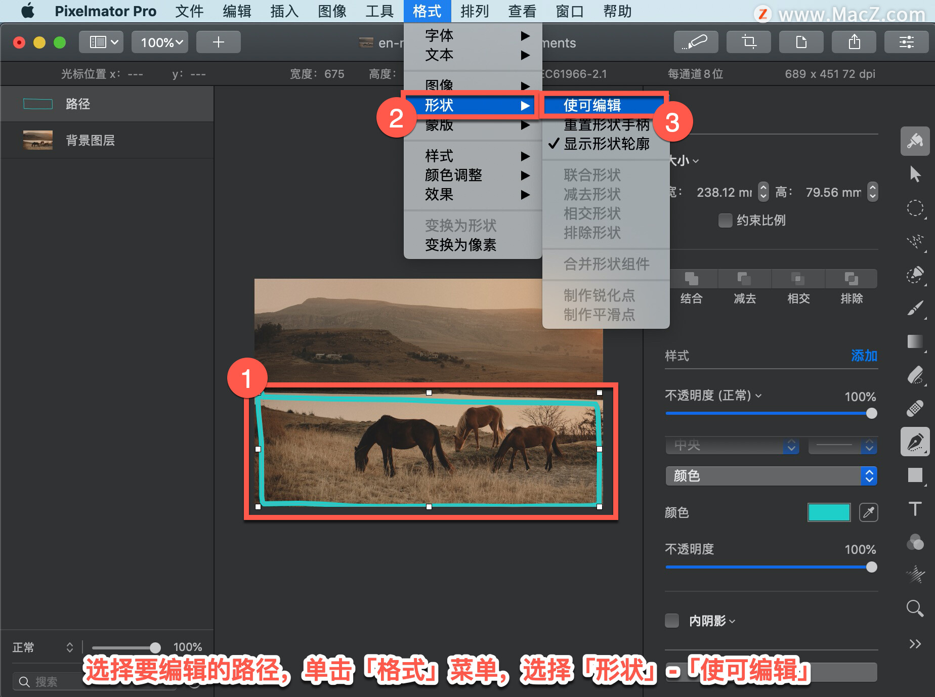 如何在 Pixelmator Pro?中使路径可编辑