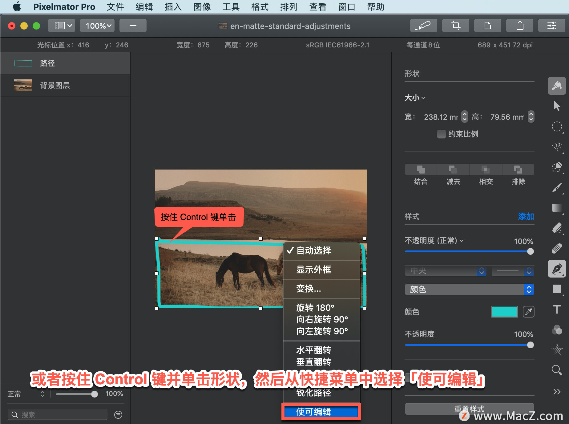 Pixelmator  Pro?教程「208」，如何在 Pixelmator  Pro?中使路径可编辑？