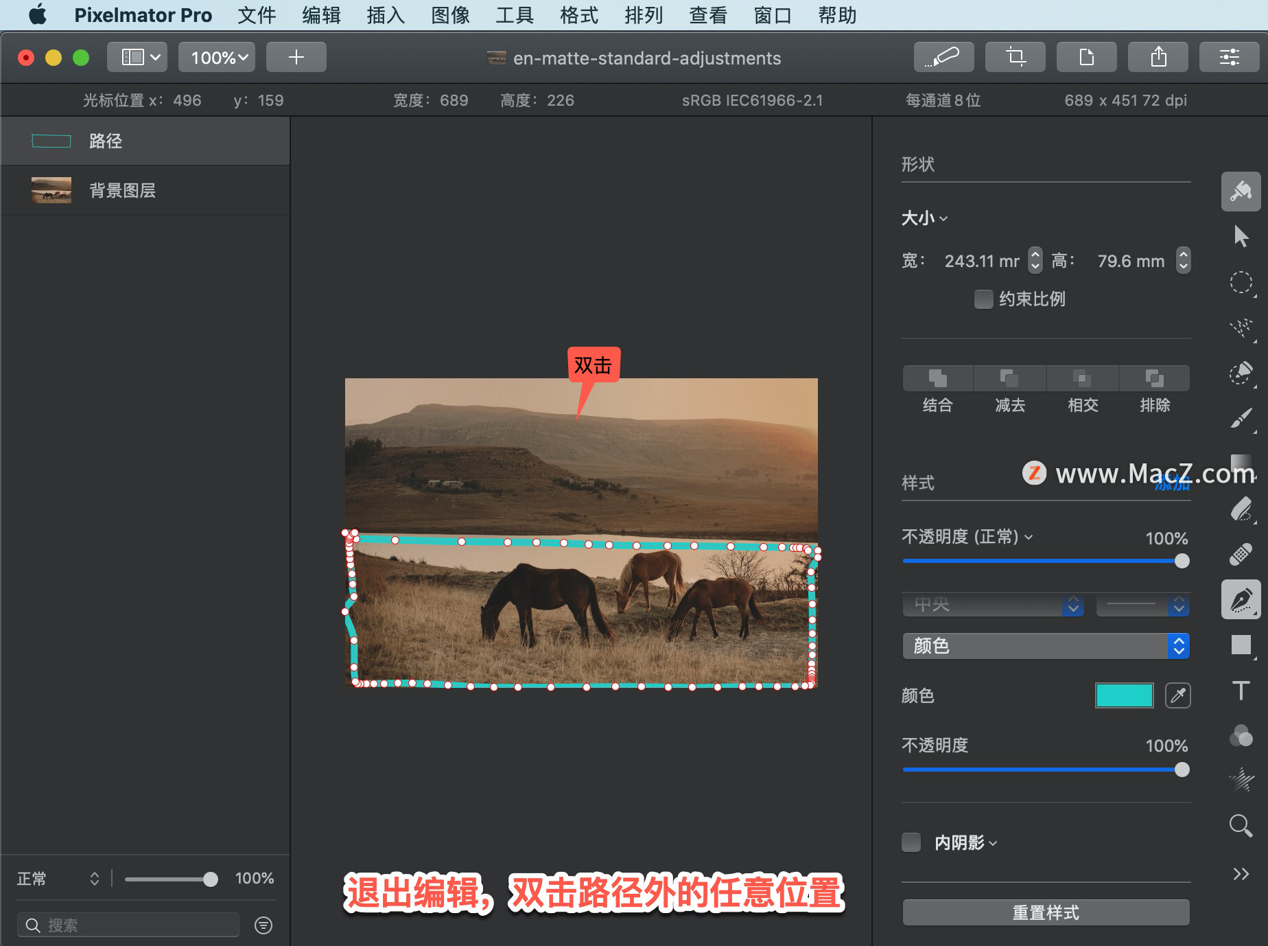 Pixelmator  Pro?教程「208」，如何在 Pixelmator  Pro?中使路径可编辑？