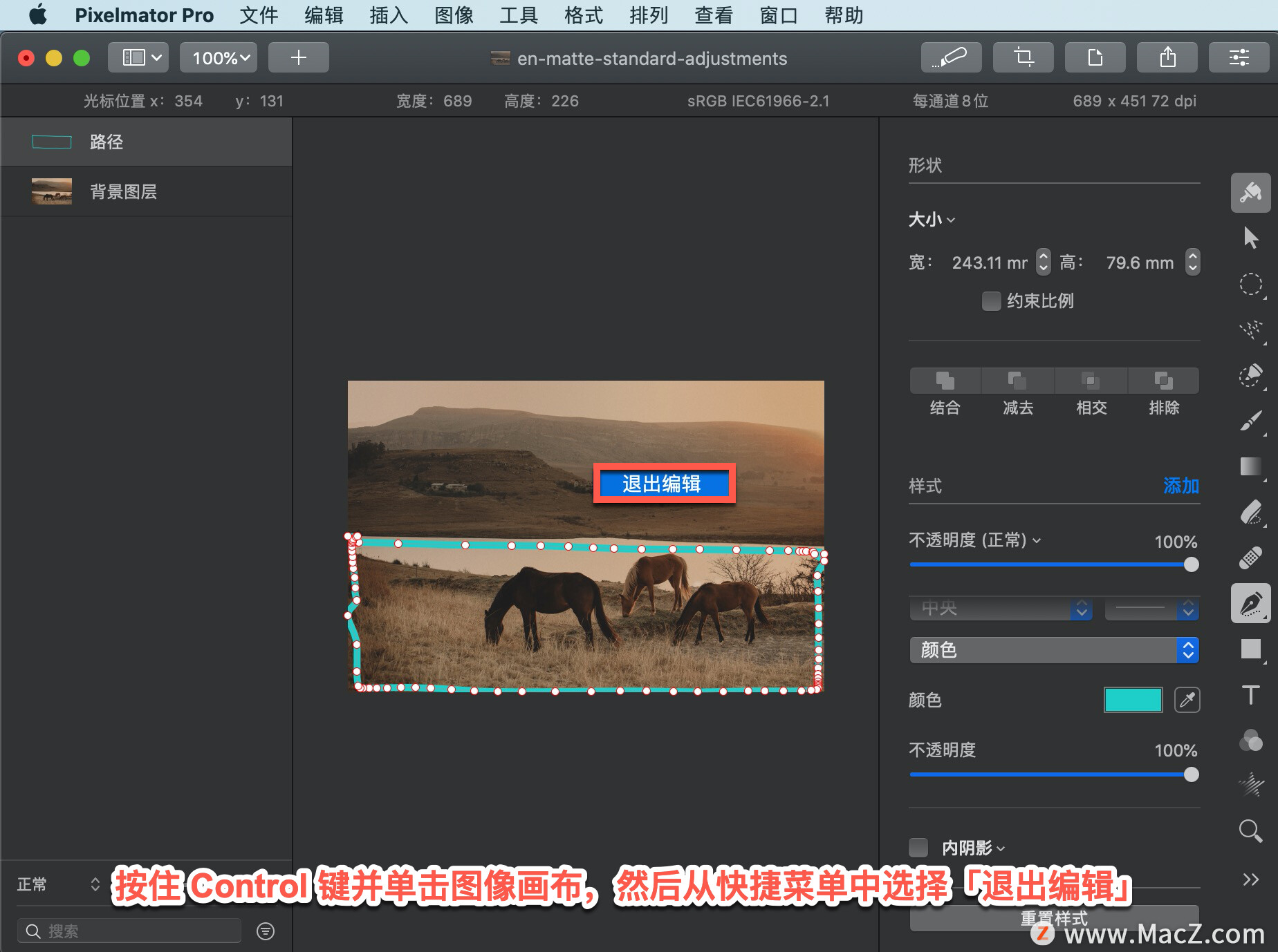 Pixelmator  Pro?教程「208」，如何在 Pixelmator  Pro?中使路径可编辑？